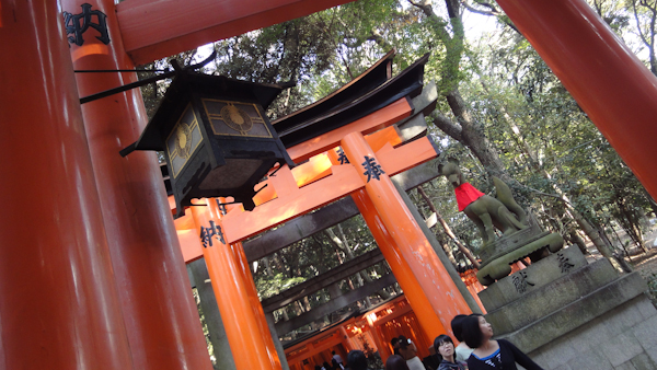 a lantern and a stone fox at a gap in the path of gates